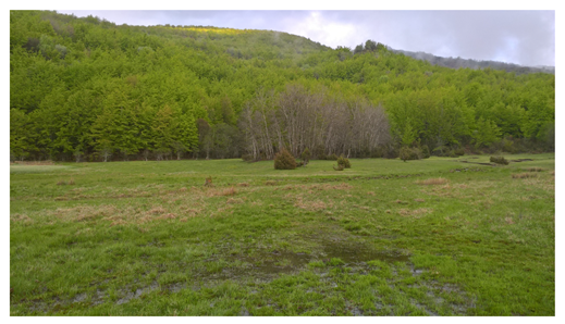 Land 15 01441 i003 Land 15 01441 i003