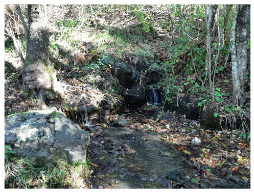 Land 15 01441 i004 Land 15 01441 i004