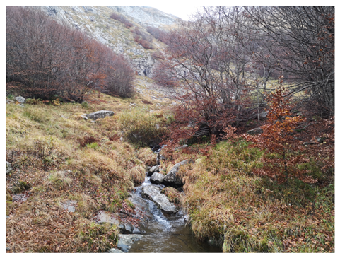 Land 15 01441 i010 Land 15 01441 i010
