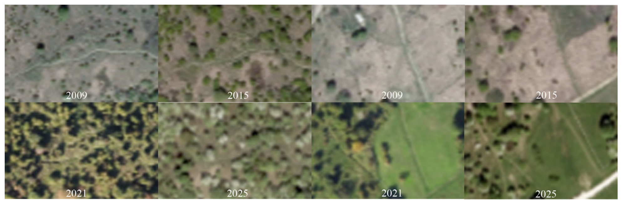 Land 15 01791 g005 Land 15 01791 g005