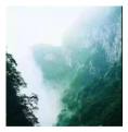 Land 15 01797 i002 Land 15 01797 i002