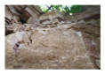 Land 15 01797 i004 Land 15 01797 i004