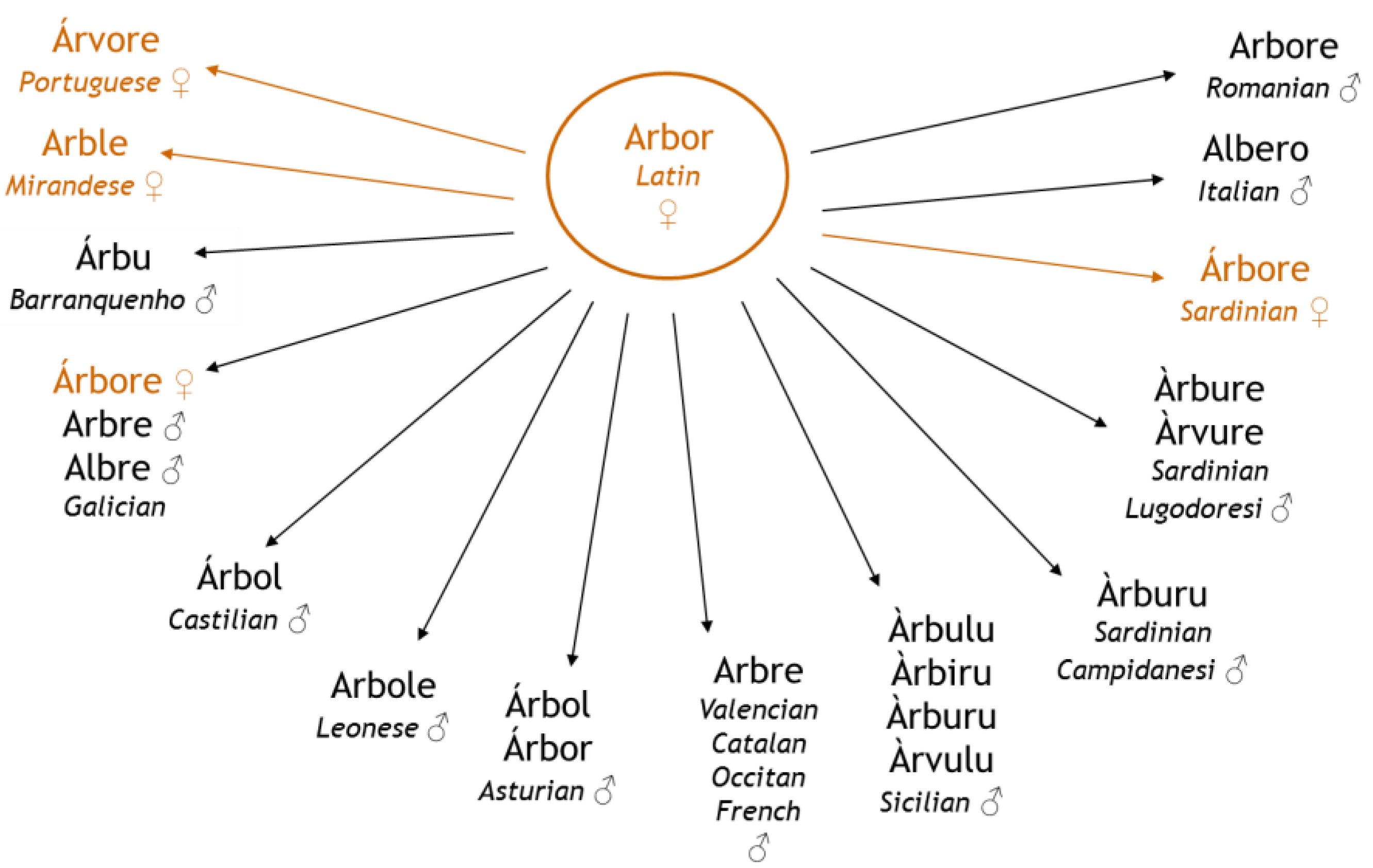 Languages 02 00015 g004