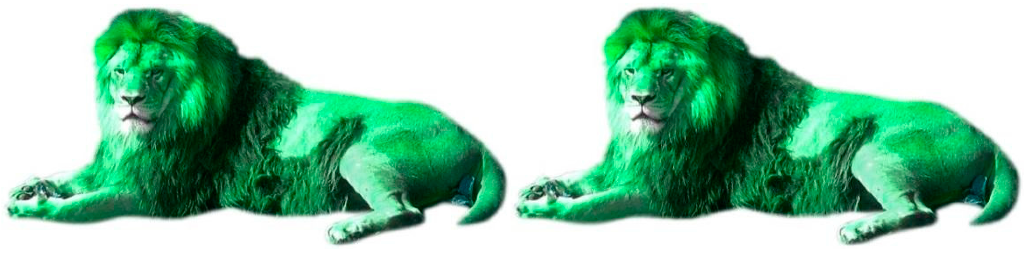 Languages 02 00022 g001