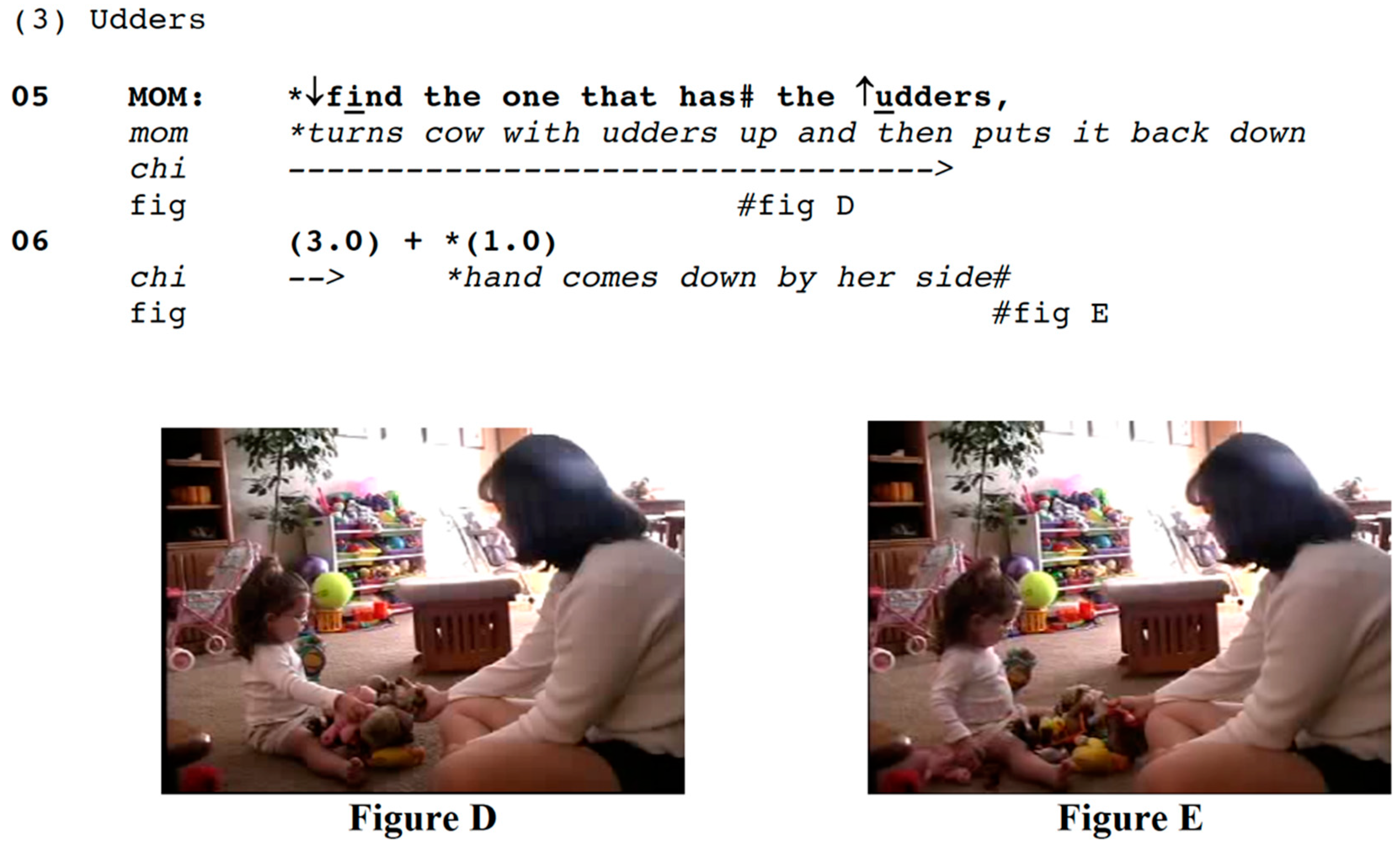 Languages 04 00002 i003