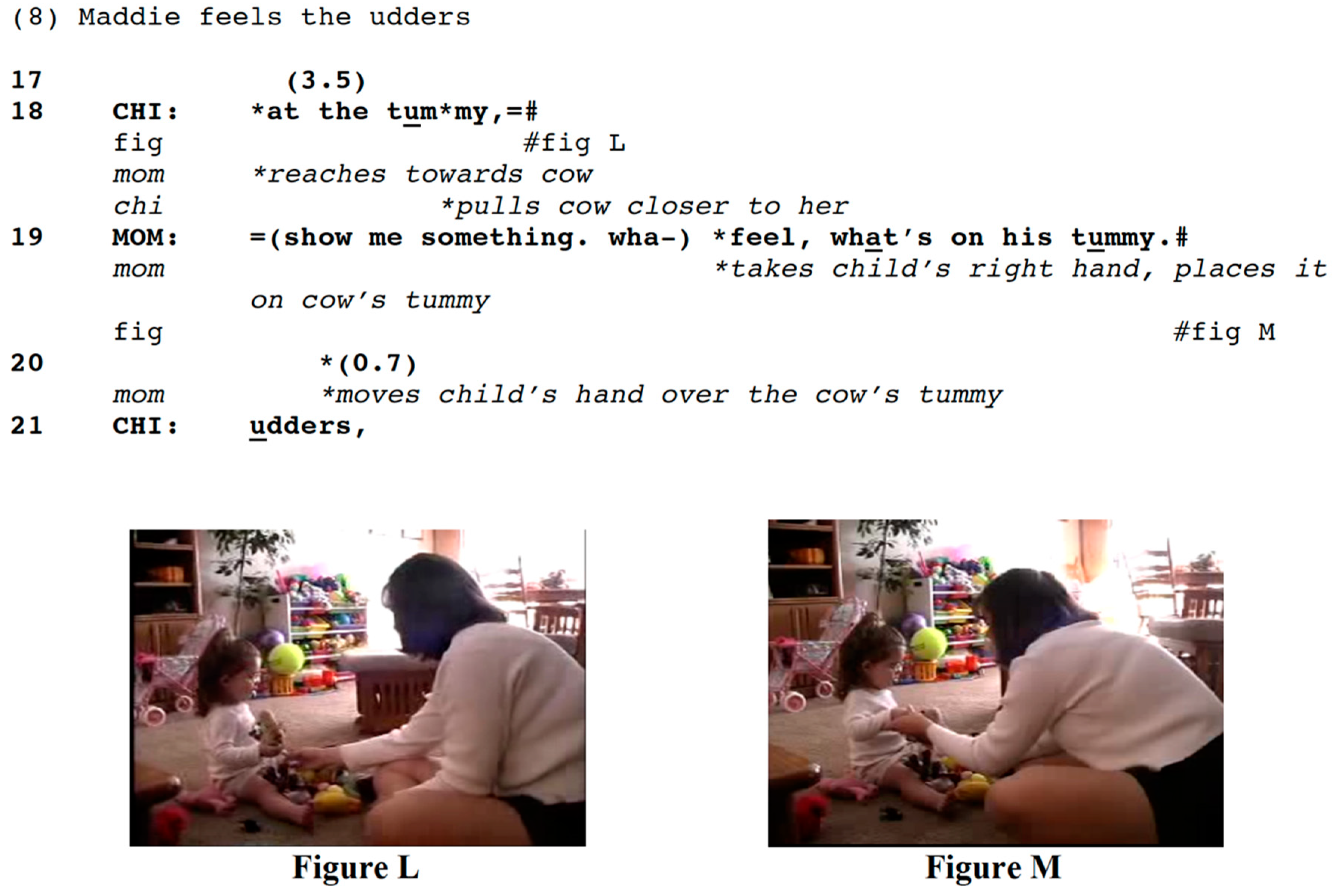 Languages 04 00002 i008