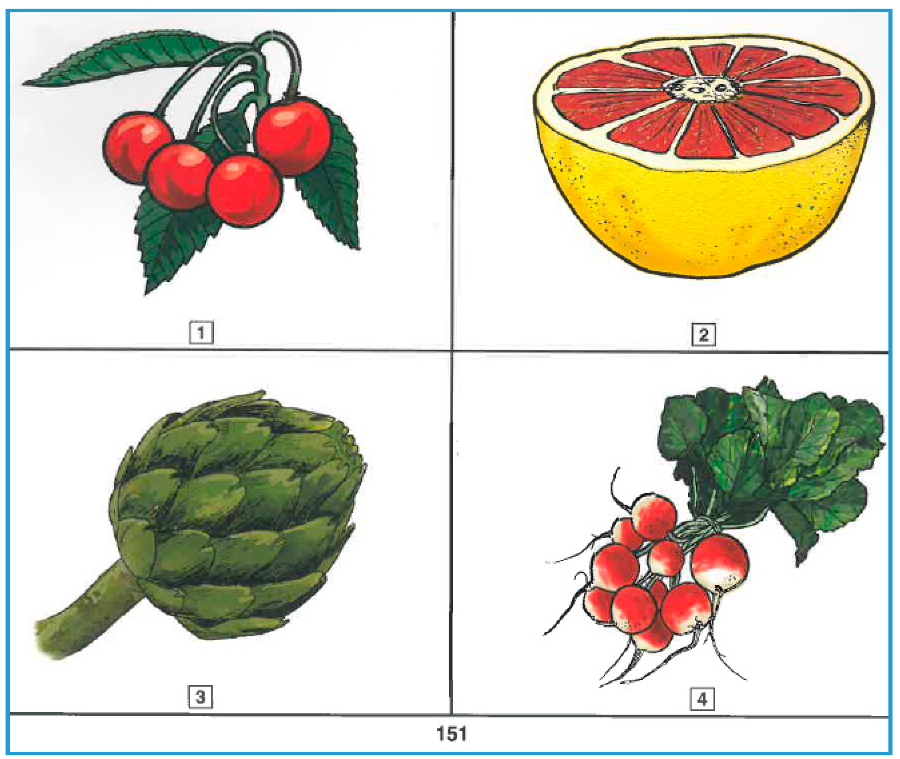 Languages 04 00027 g001