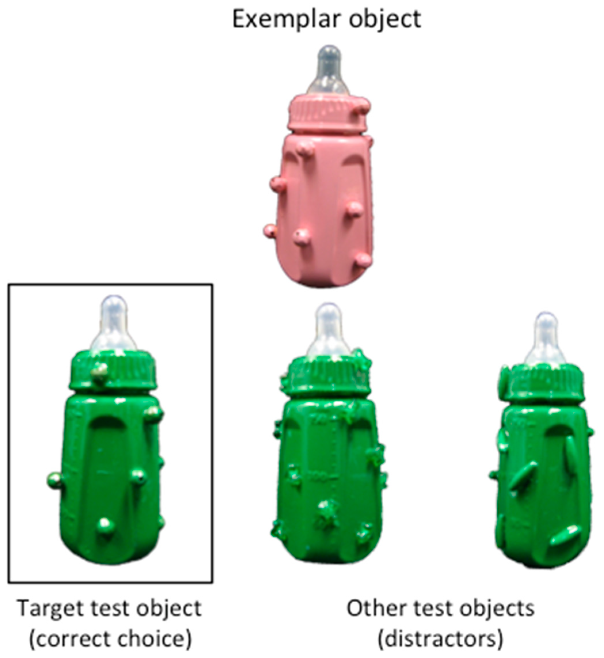 Languages 04 00033 g001