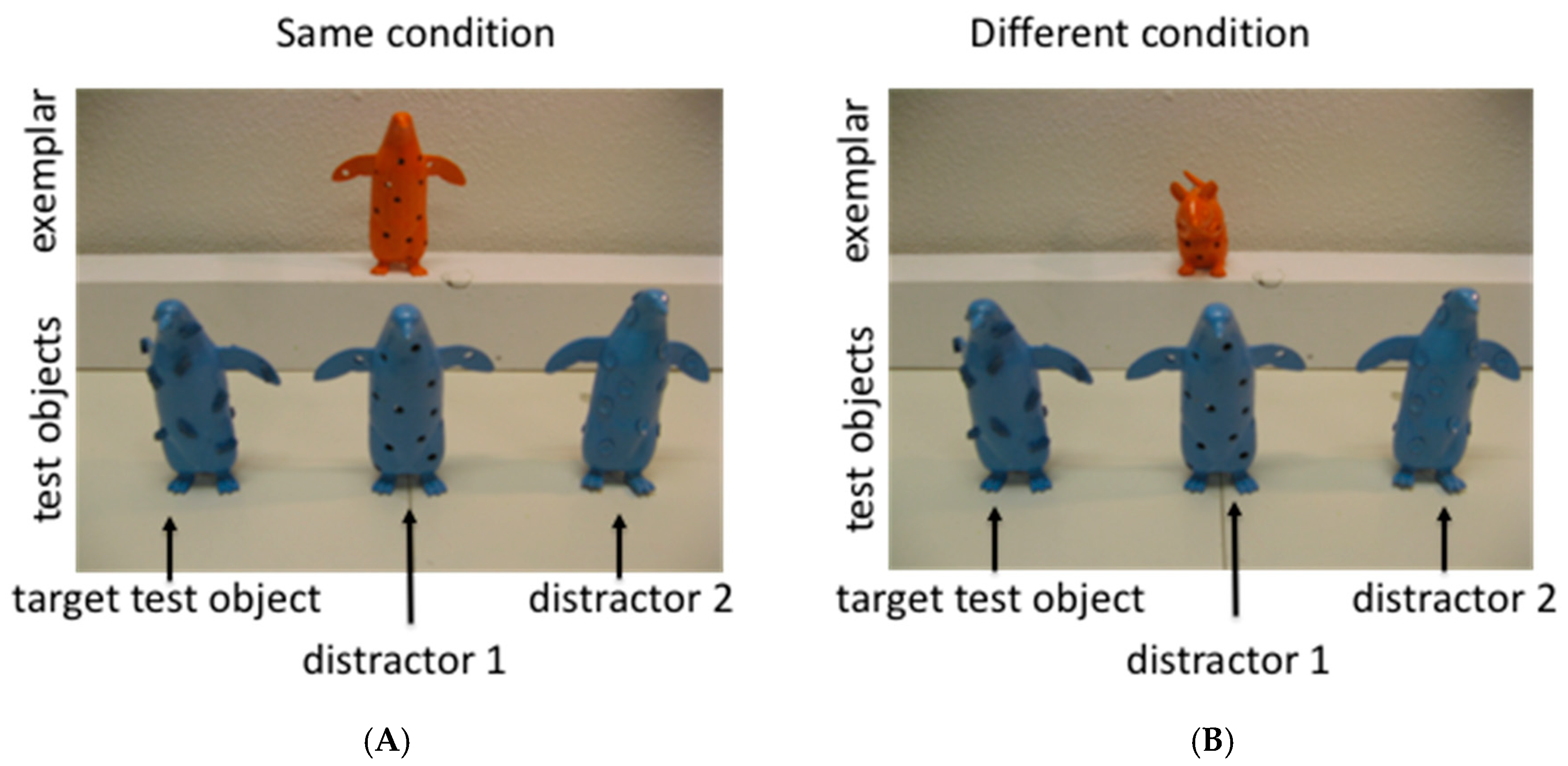 Languages 04 00033 g003