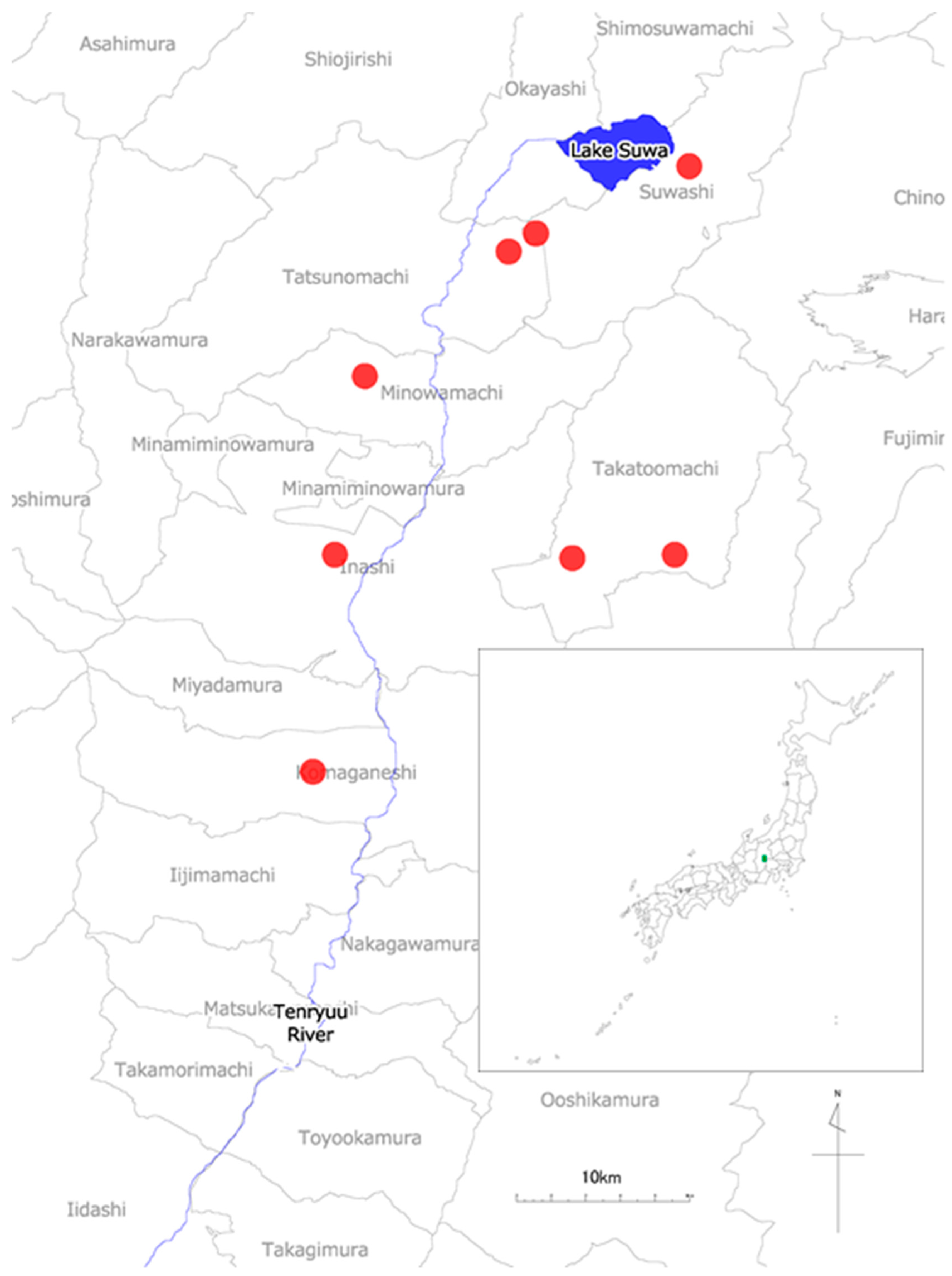 Languages 04 00037 g003