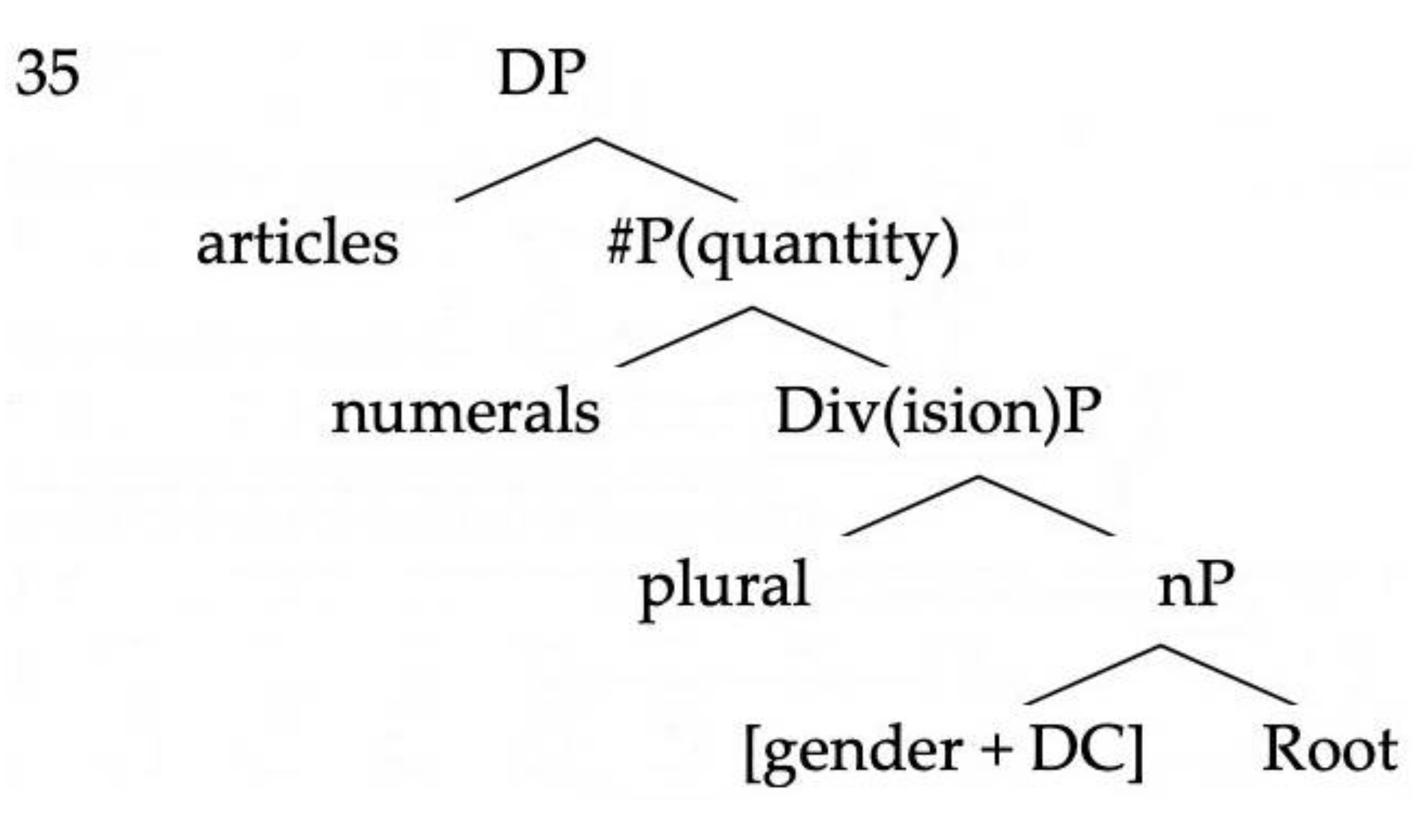 Languages 06 00003 i002 Languages 06 00003 i002