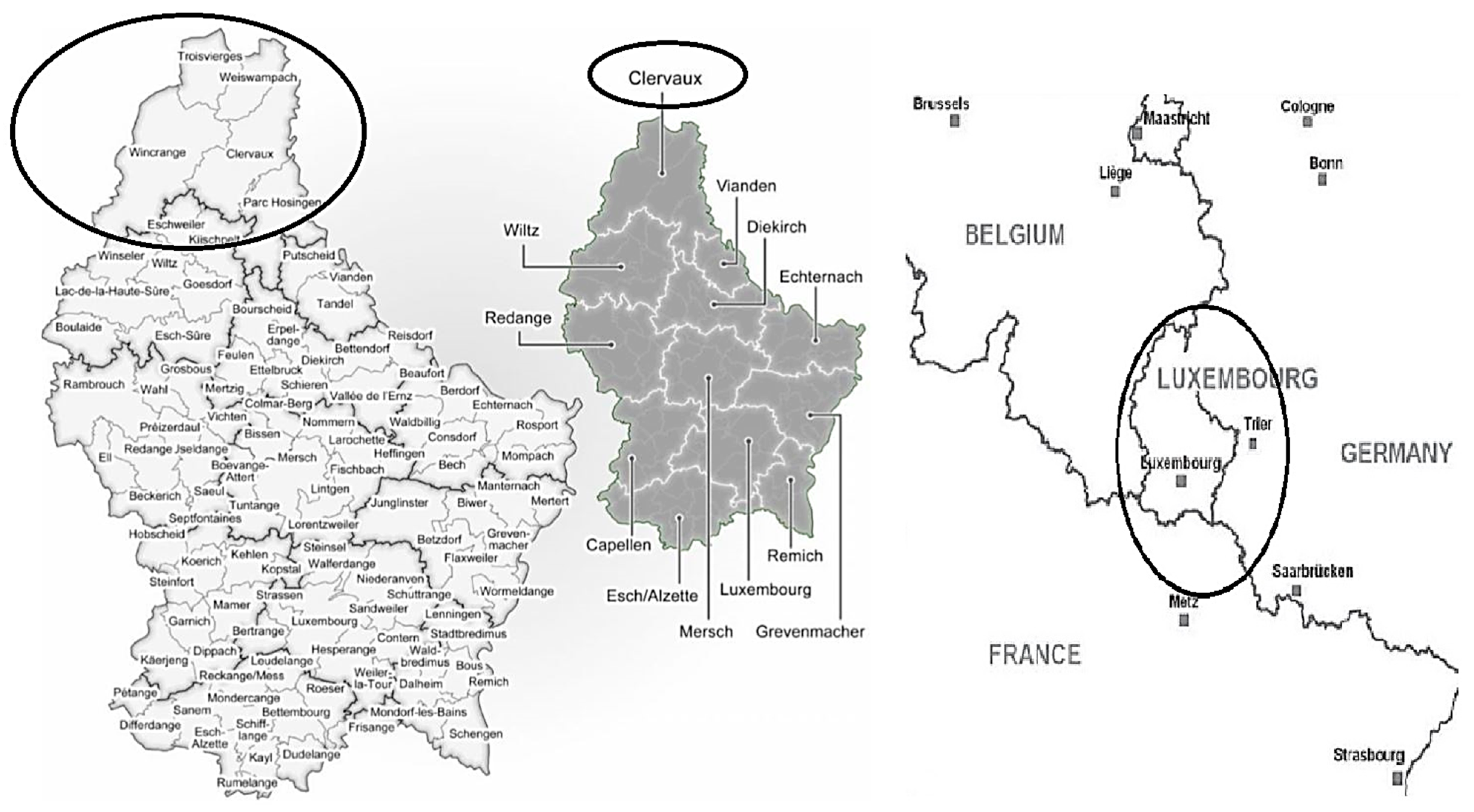 Languages 06 00134 g002 Languages 06 00134 g002