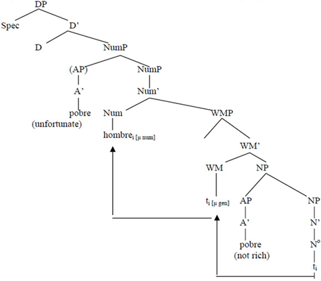 Languages 06 00153 i001 Languages 06 00153 i001
