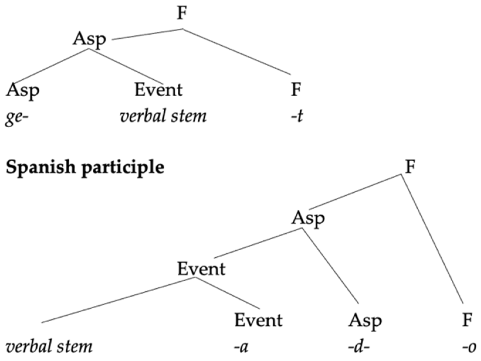 Languages 06 00167 g006