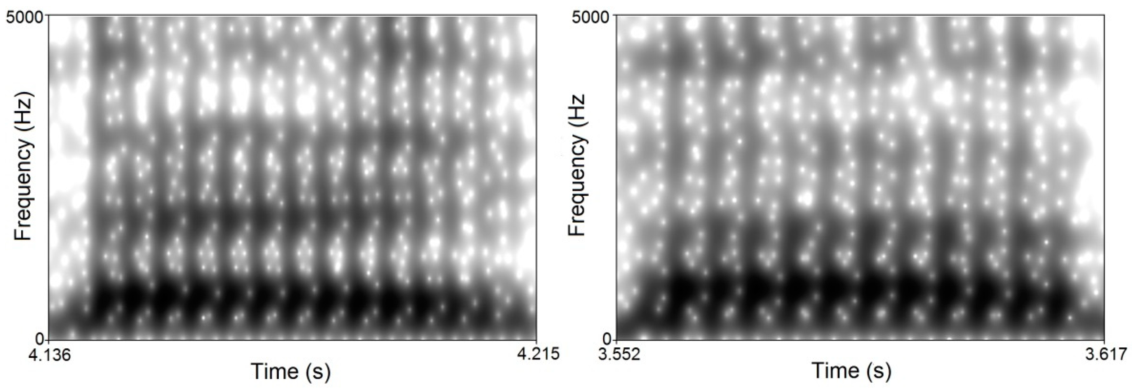 Languages 06 00181 g002