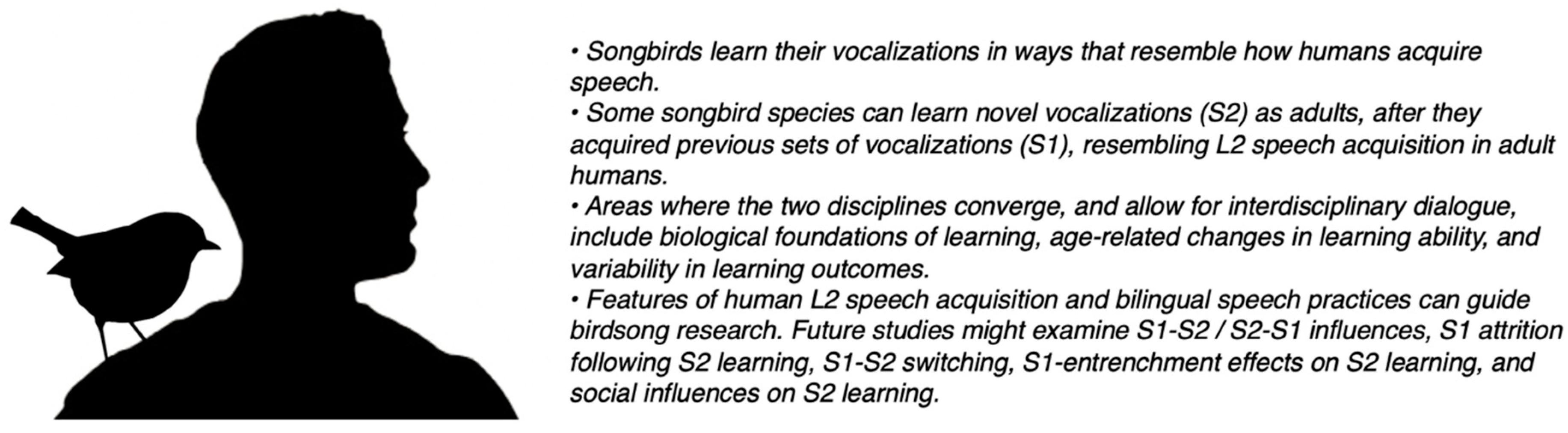 Languages 07 00005 g005