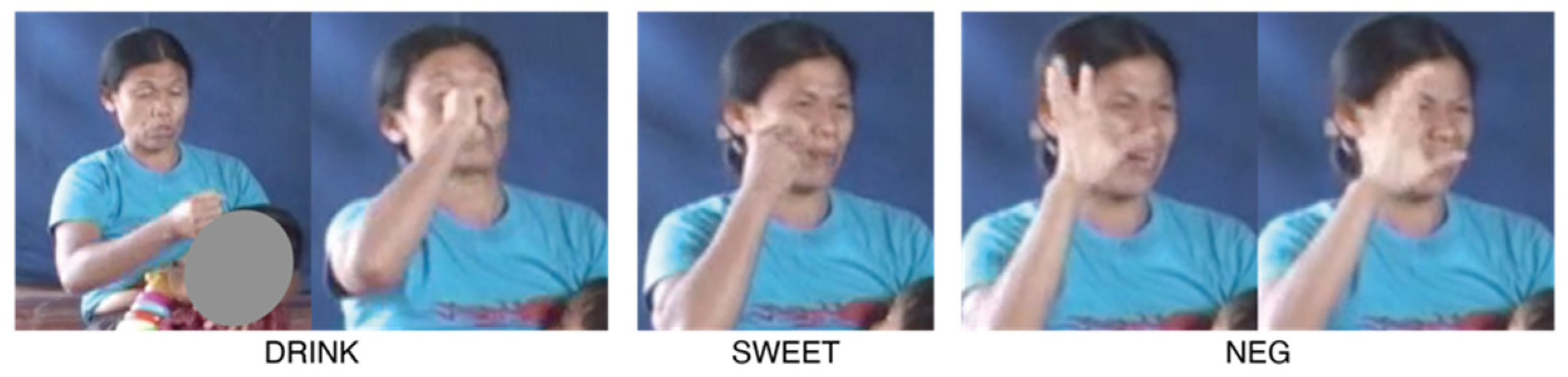 Languages 07 00023 i003