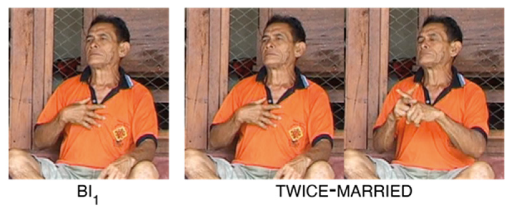 Languages 07 00023 i013