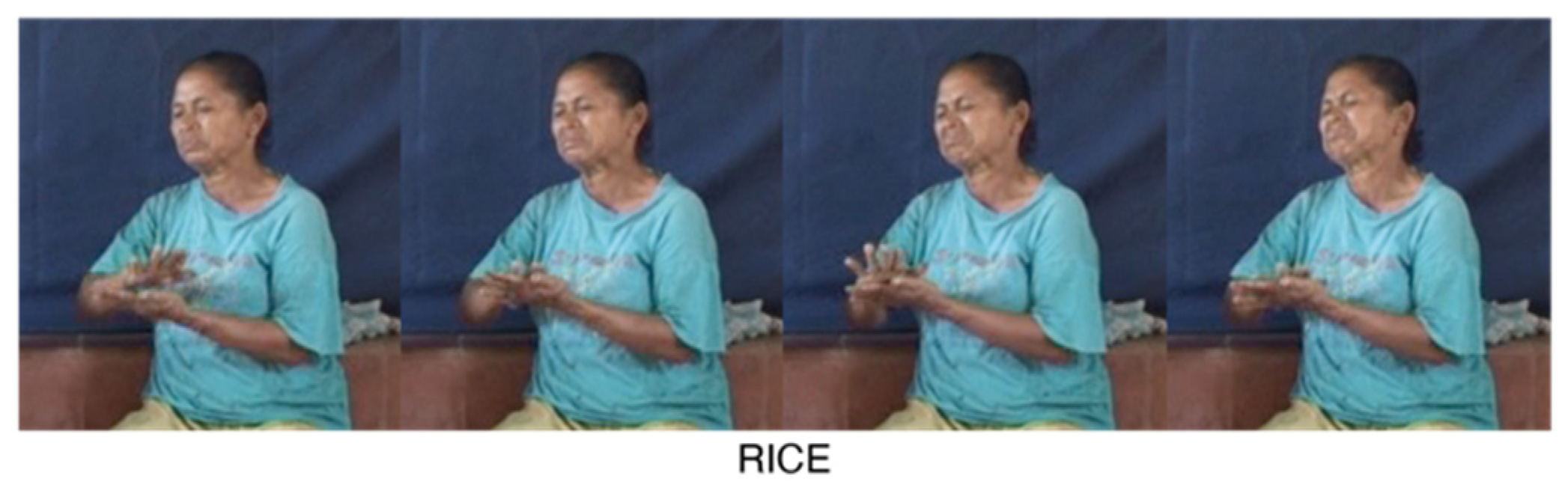 Languages 07 00023 i014