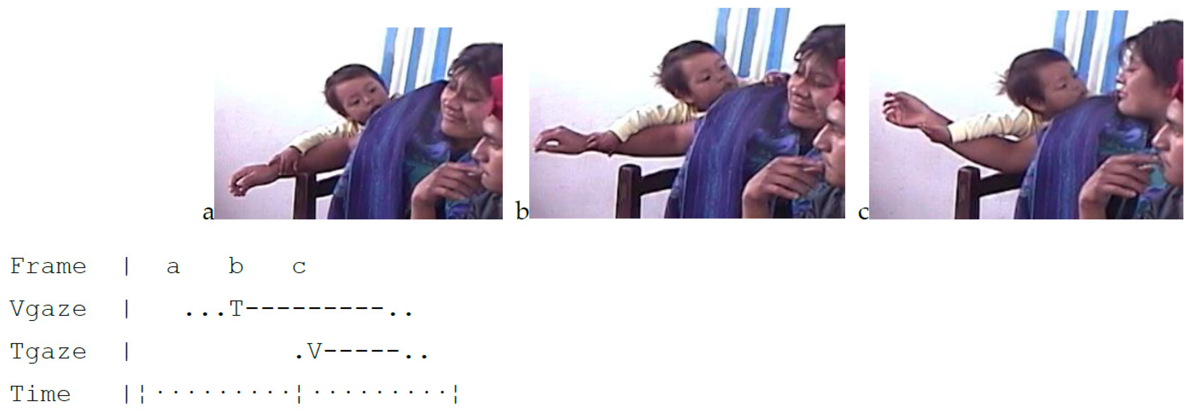 Languages 07 00080 g007