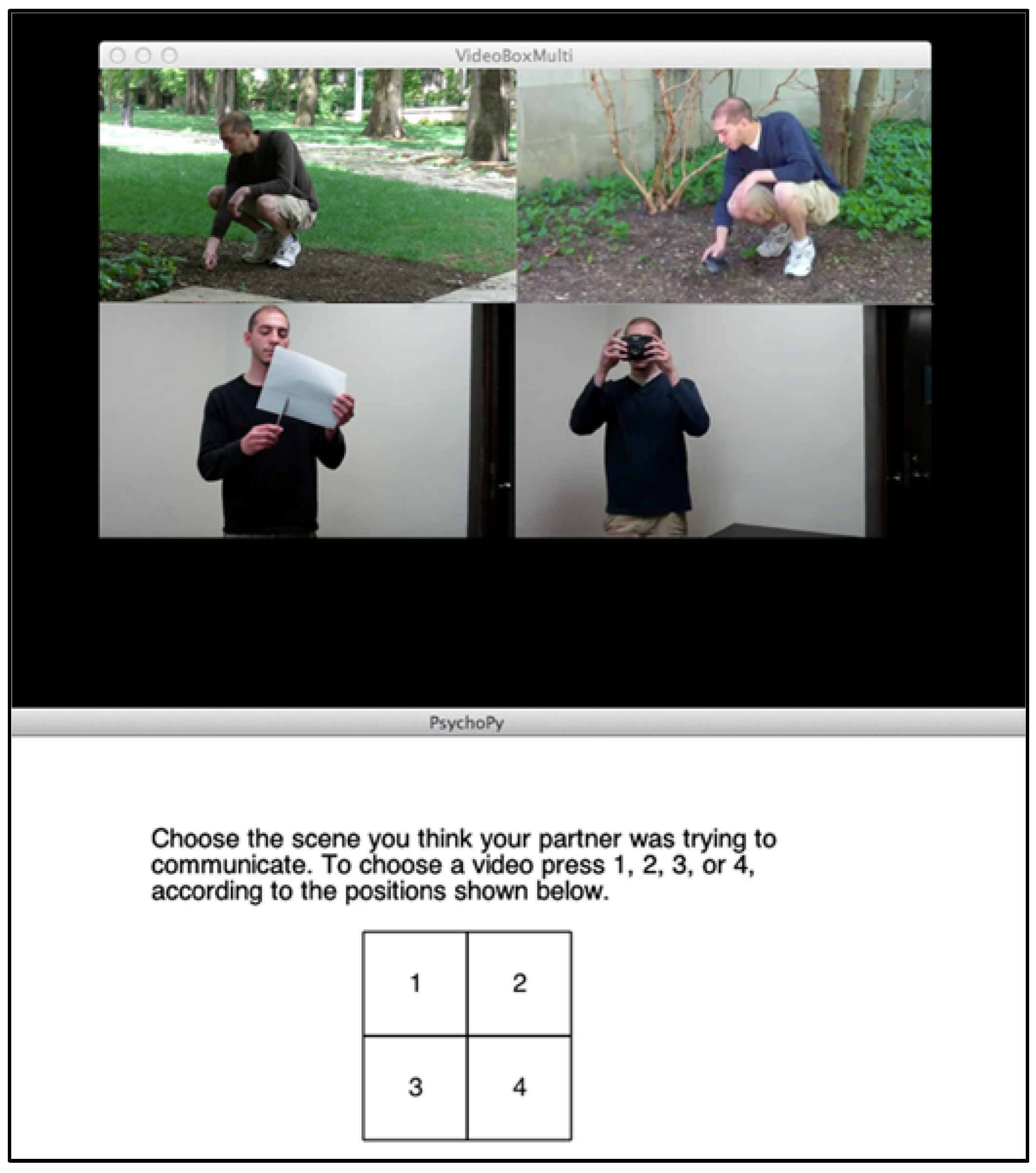 Languages 07 00095 g003