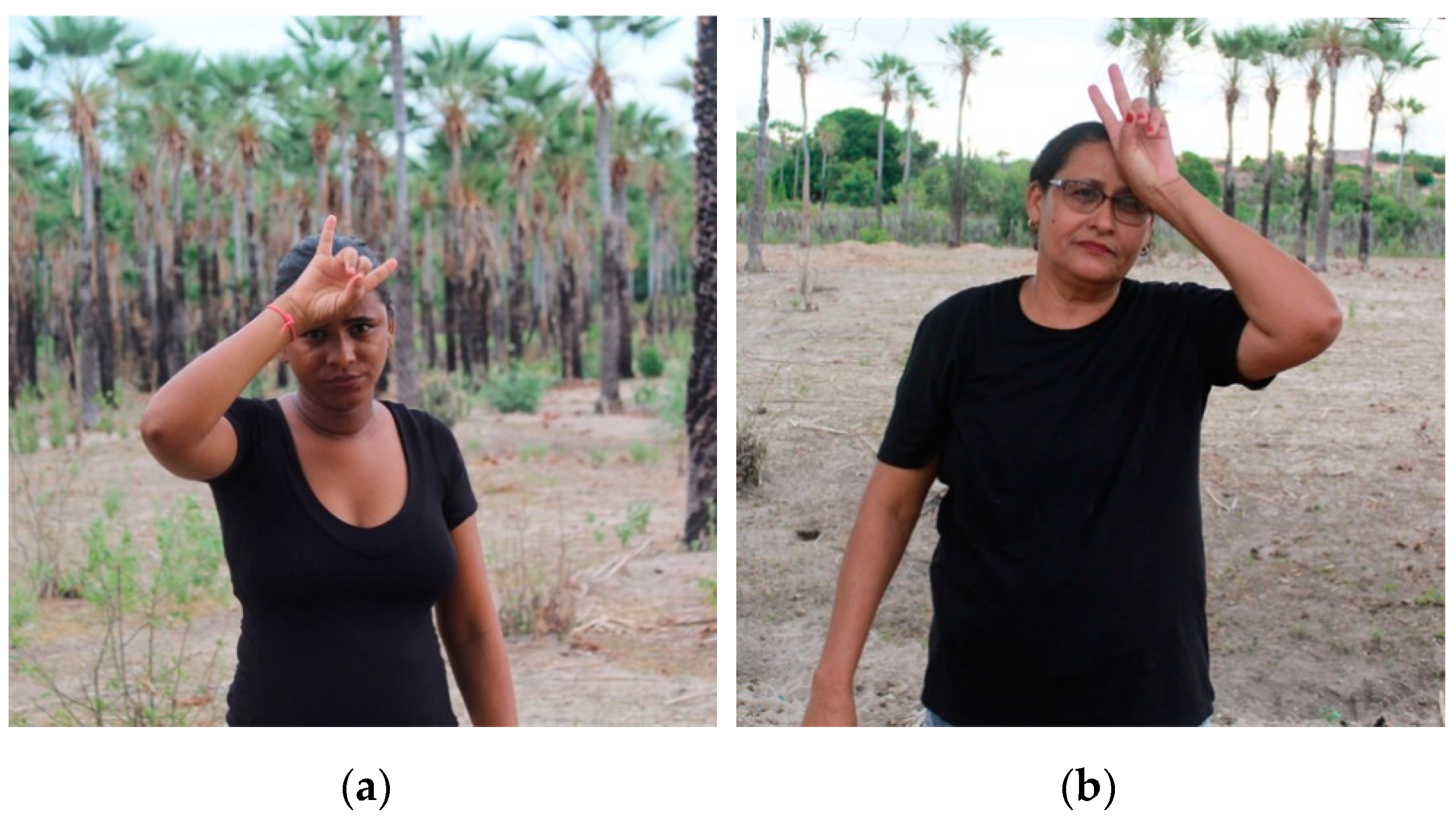 Languages 07 00098 g008