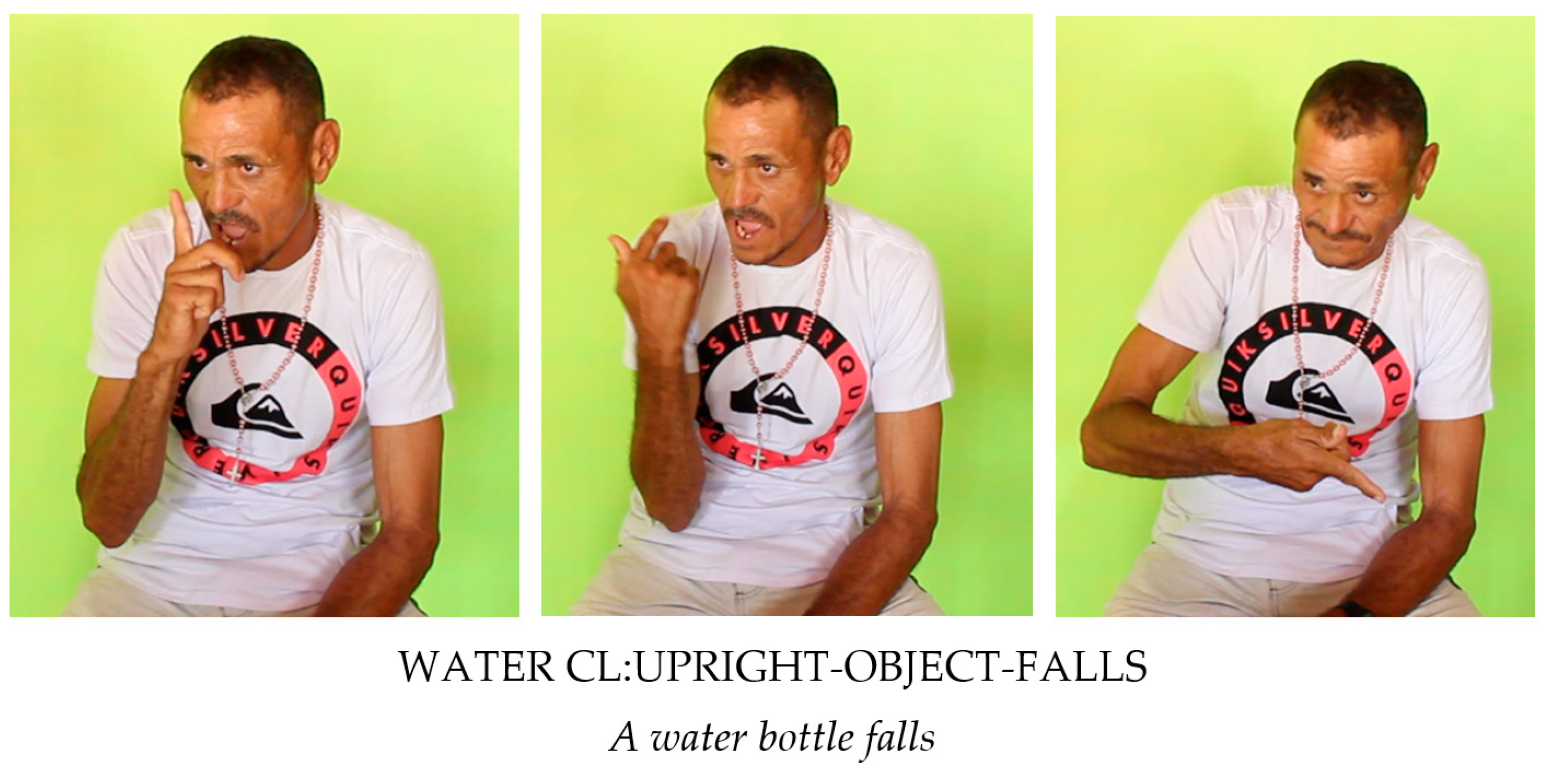 Languages 07 00098 g012