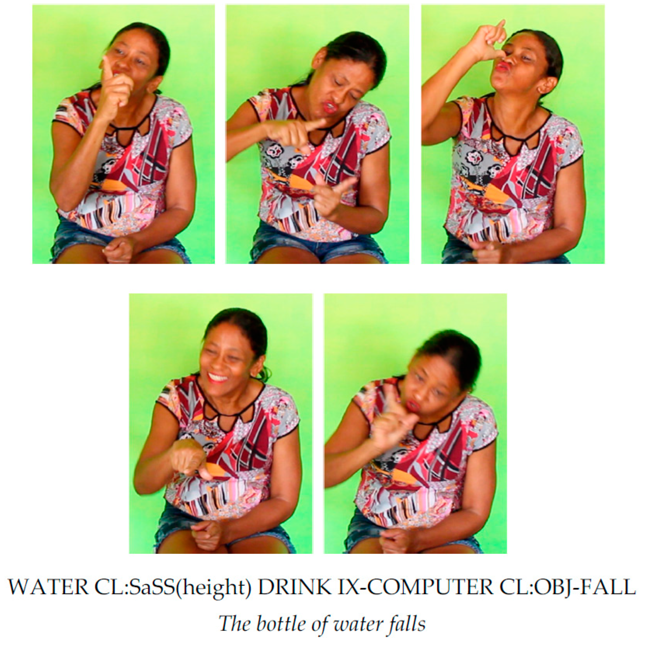 Languages 07 00098 g014