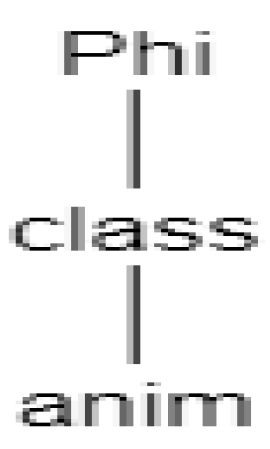 Languages 07 00114 g028