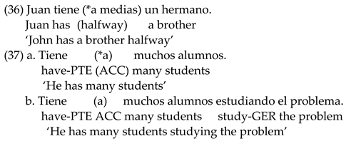 Languages 07 00114 i028