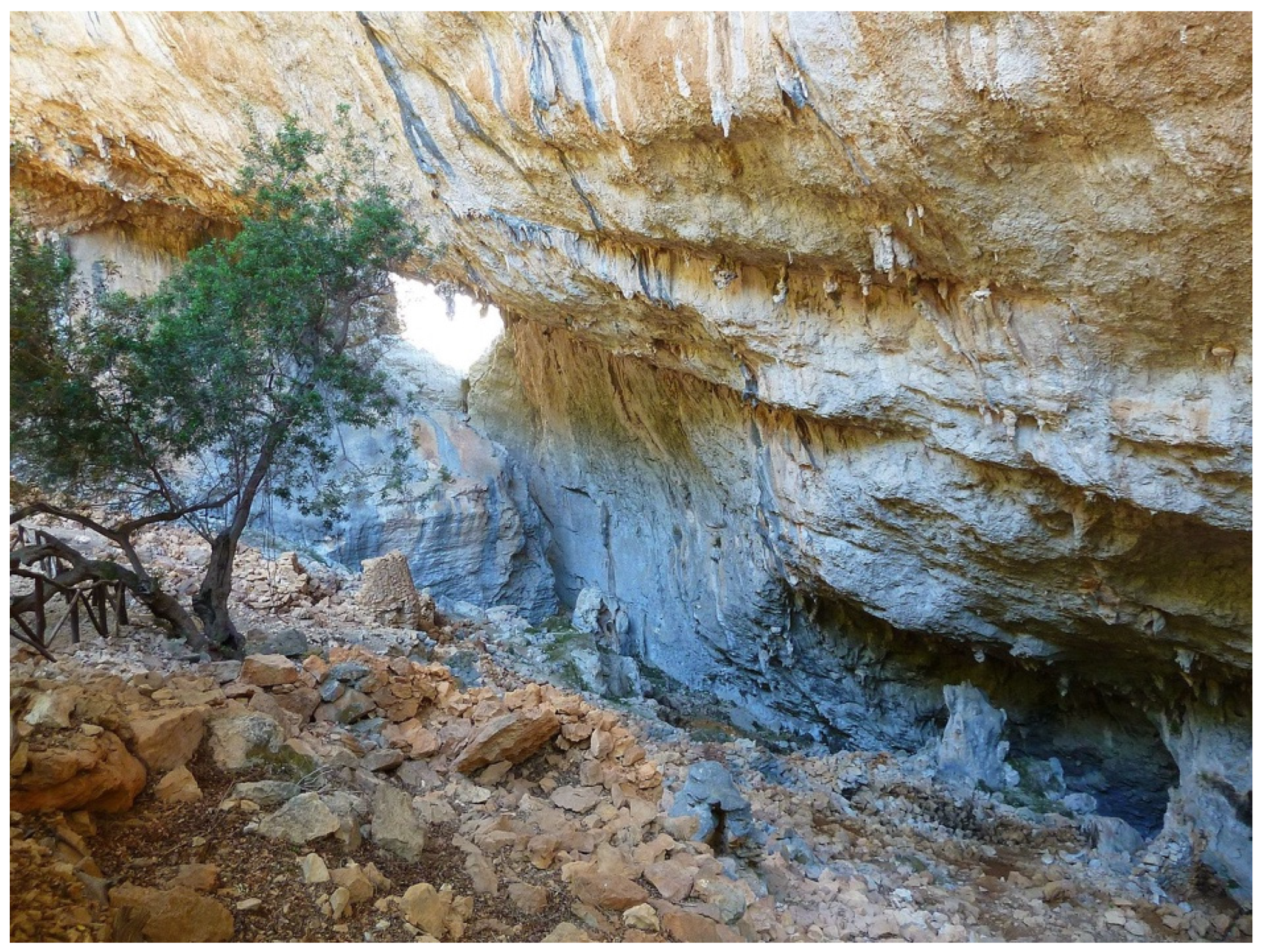 Languages 07 00131 g010