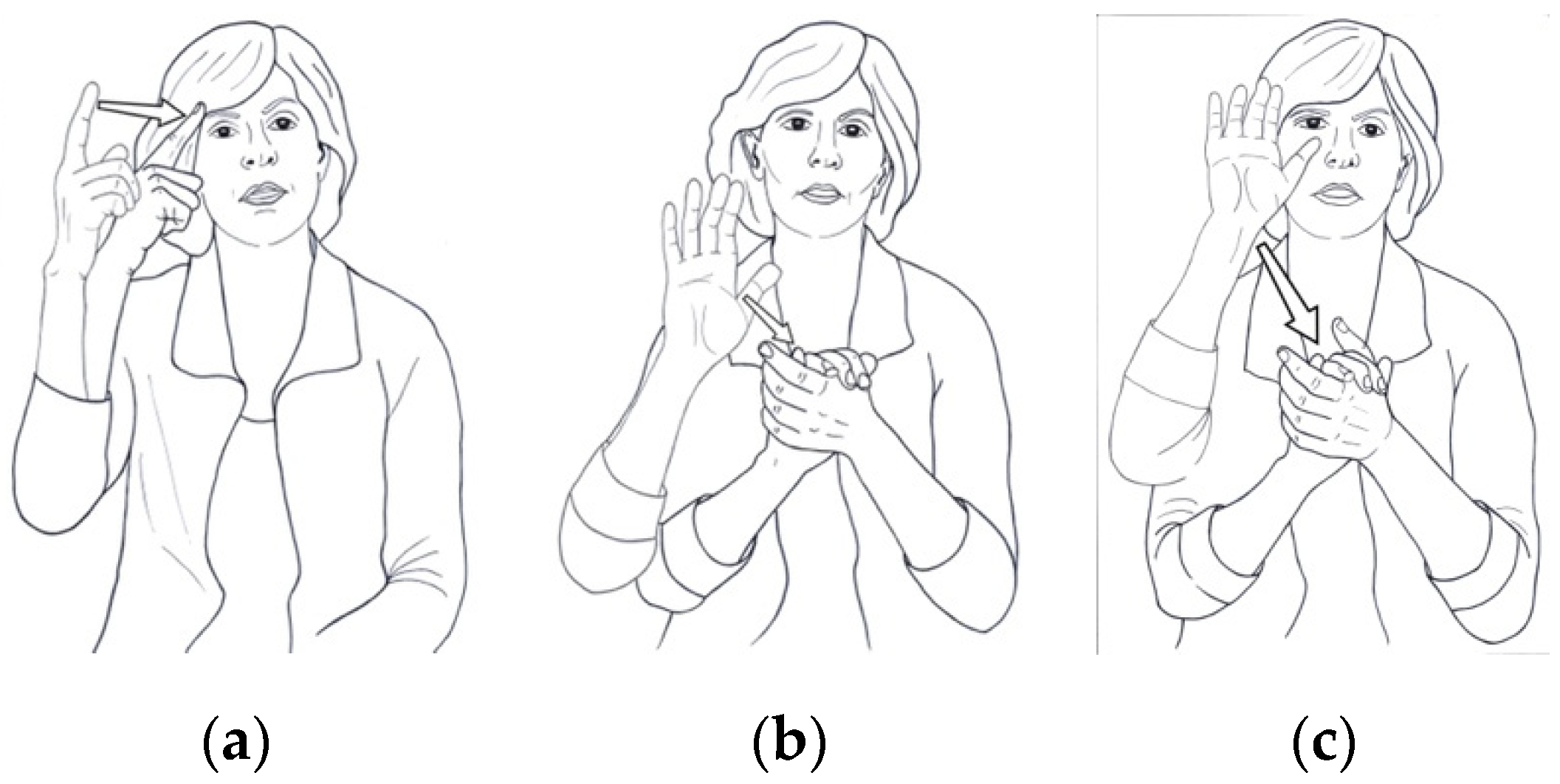 Languages 07 00184 g004