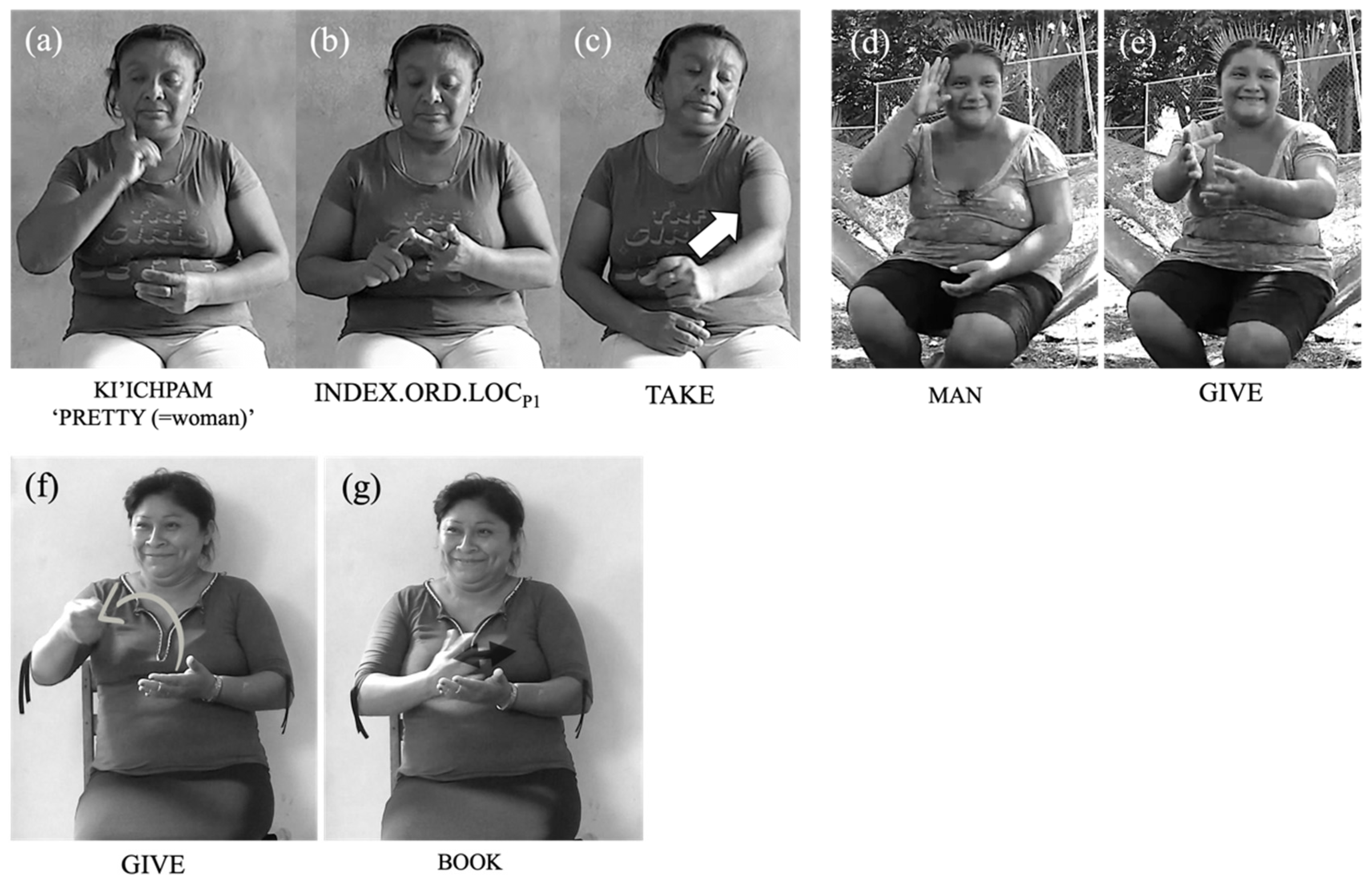 Languages 07 00233 g005