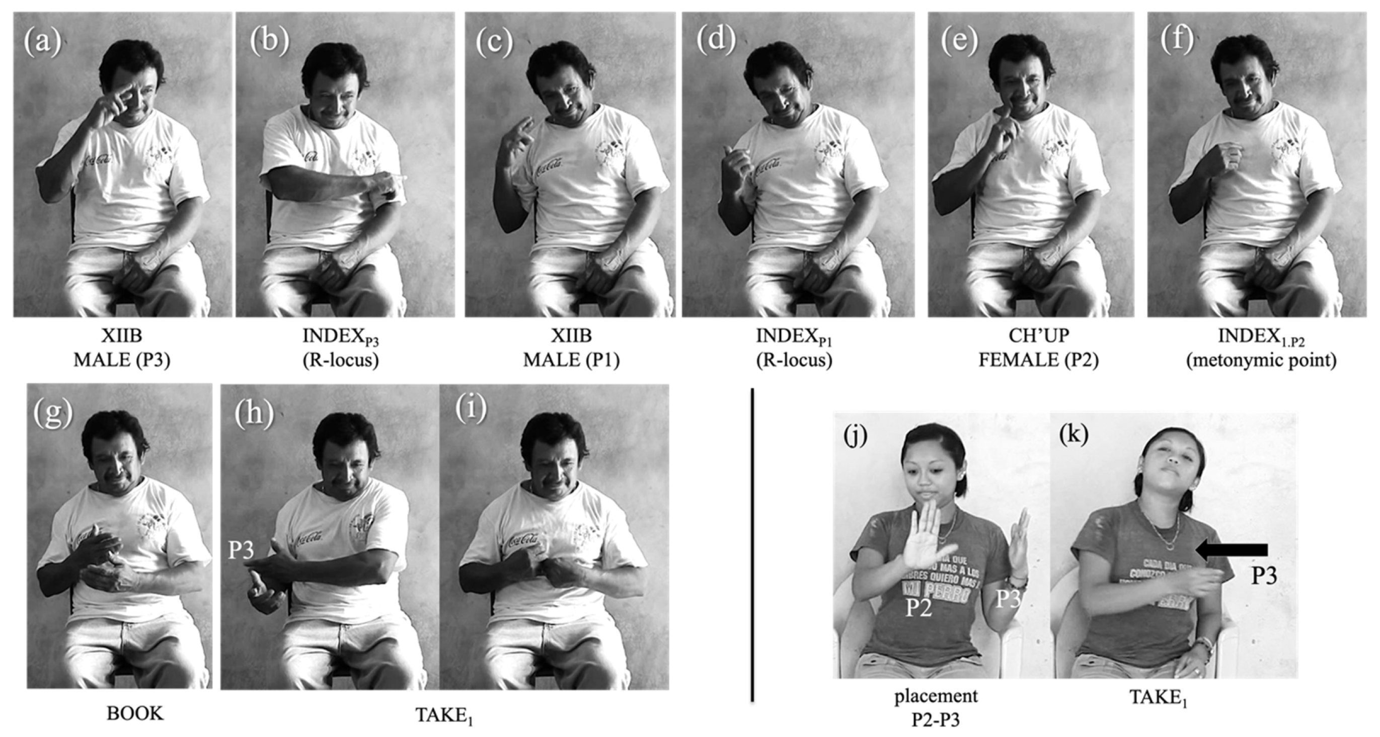 Languages 07 00233 g006