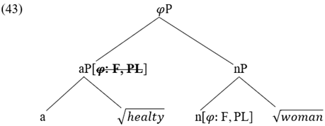 Languages 07 00296 i011