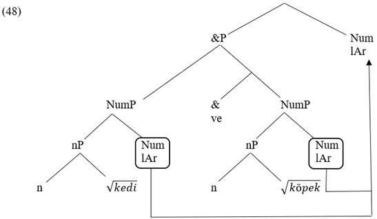 Languages 07 00296 i014