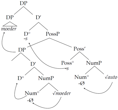 Languages 07 00304 i002