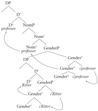 Languages 07 00304 i004