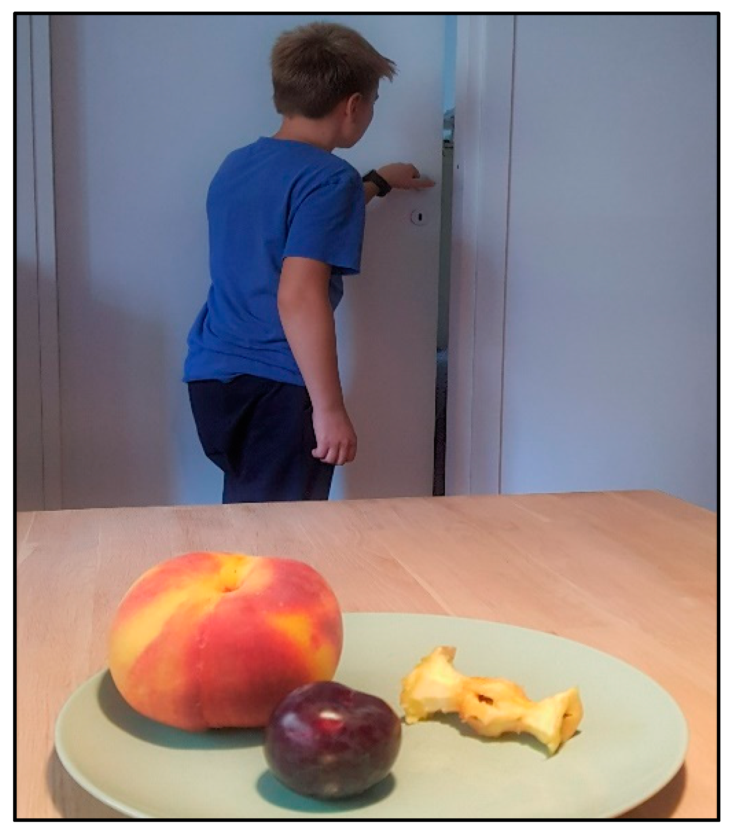 Languages 08 00032 g001 Languages 08 00032 g001