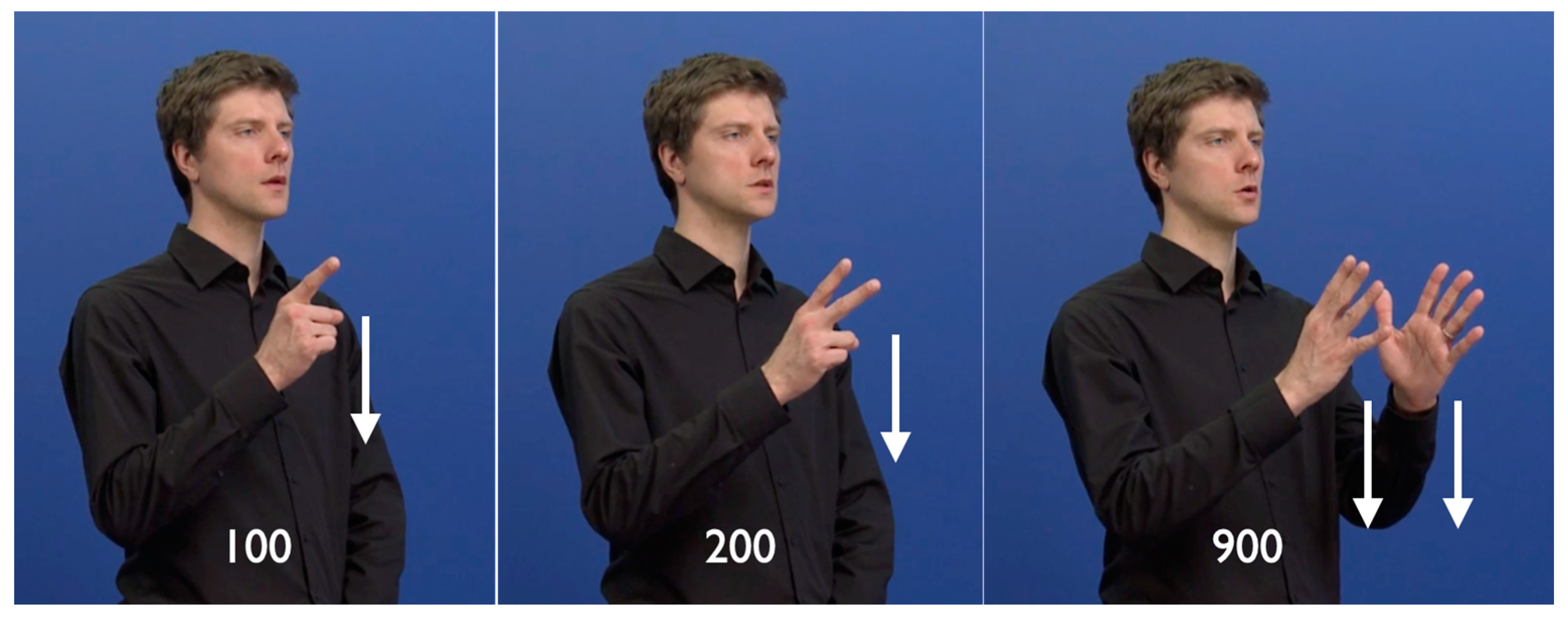 Languages 08 00153 g001