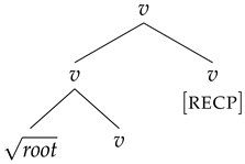 Languages 08 00158 i004