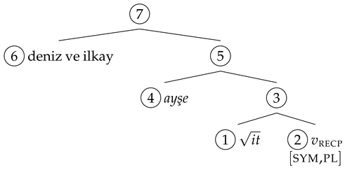 Languages 08 00158 i015