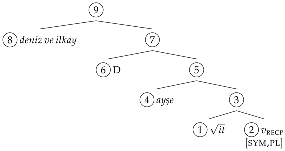 Languages 08 00158 i016