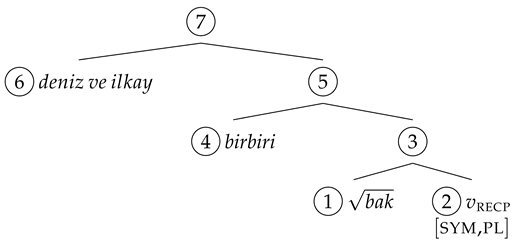 Languages 08 00158 i018