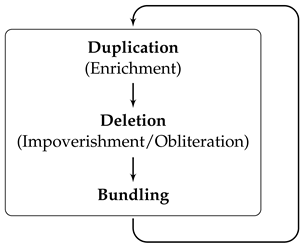 Languages 08 00179 i045 Languages 08 00179 i045