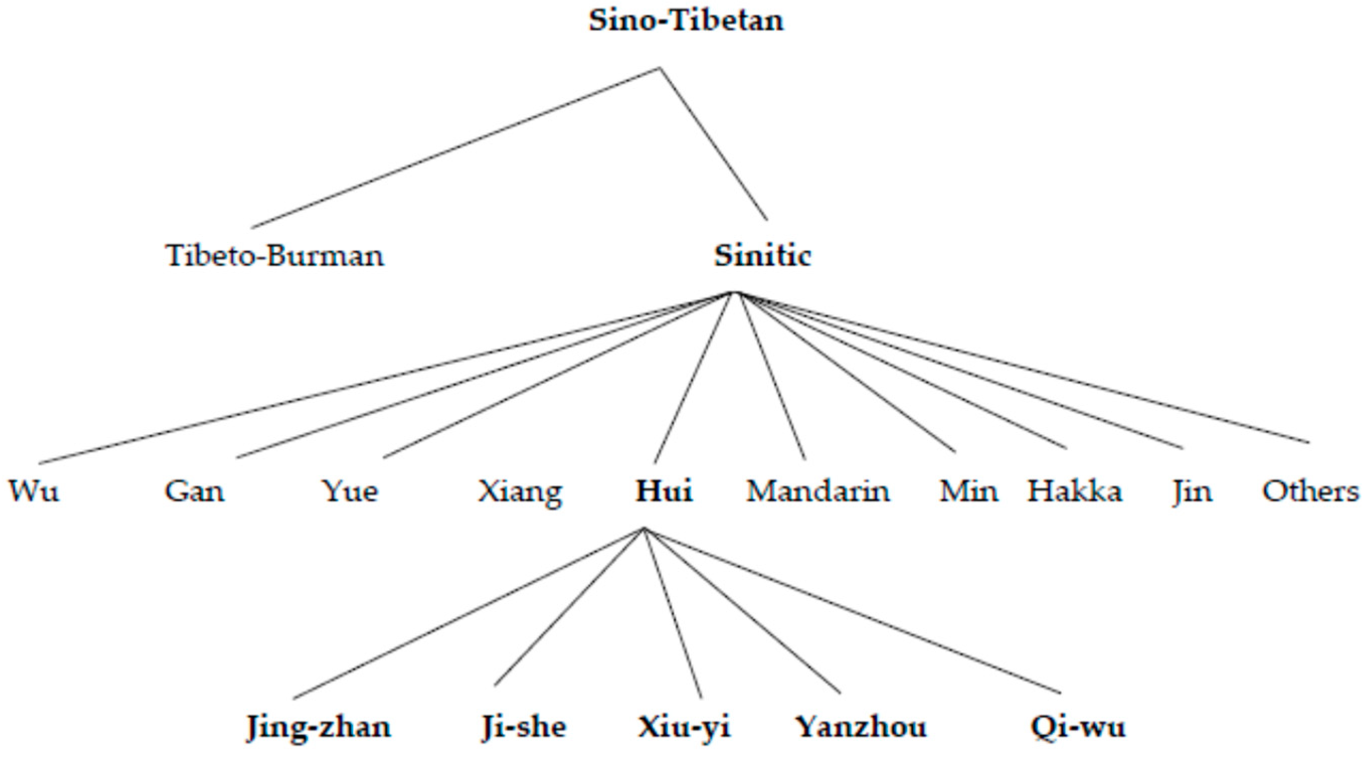 Languages 08 00217 g003