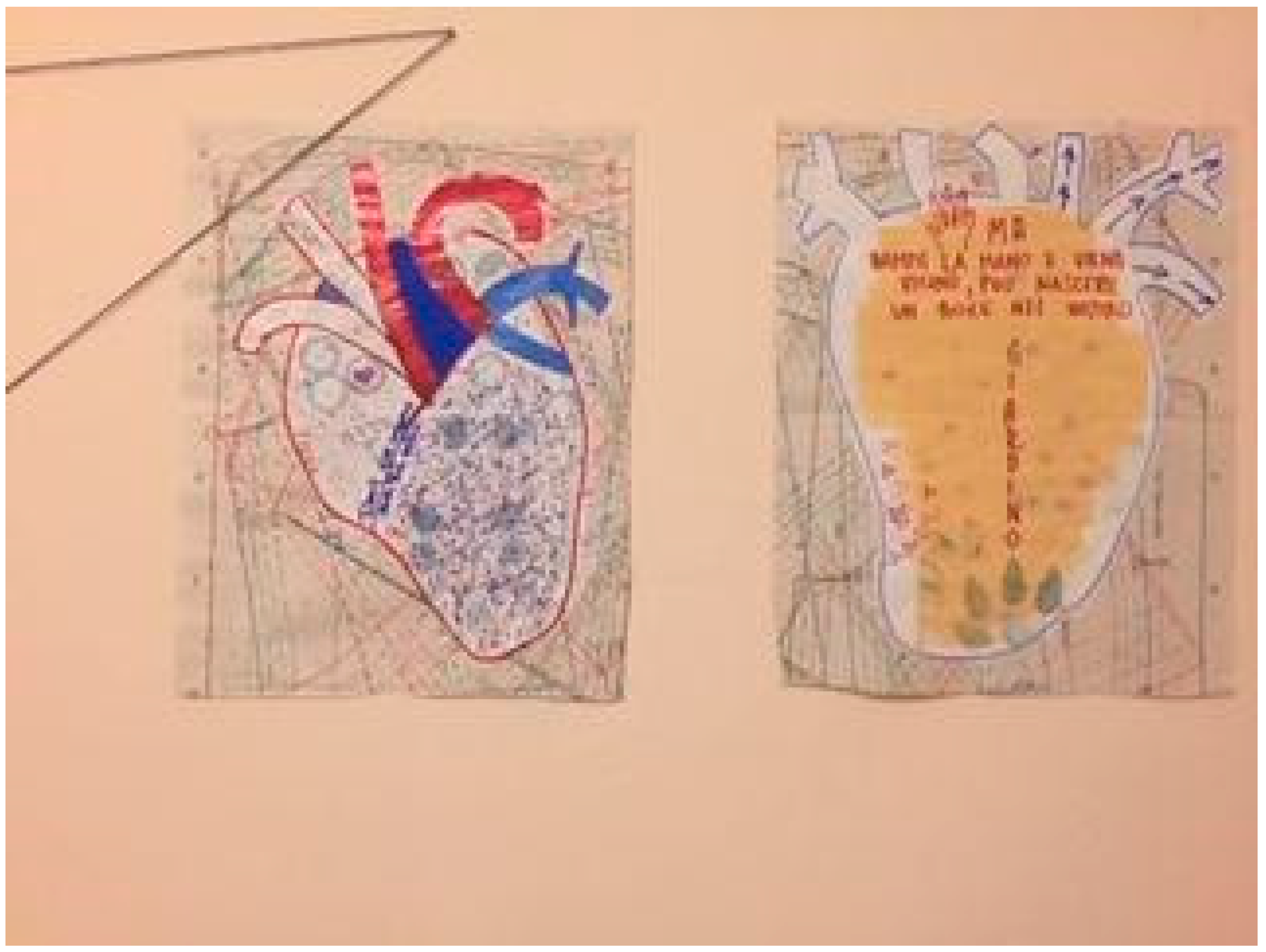 Languages 08 00221 g008