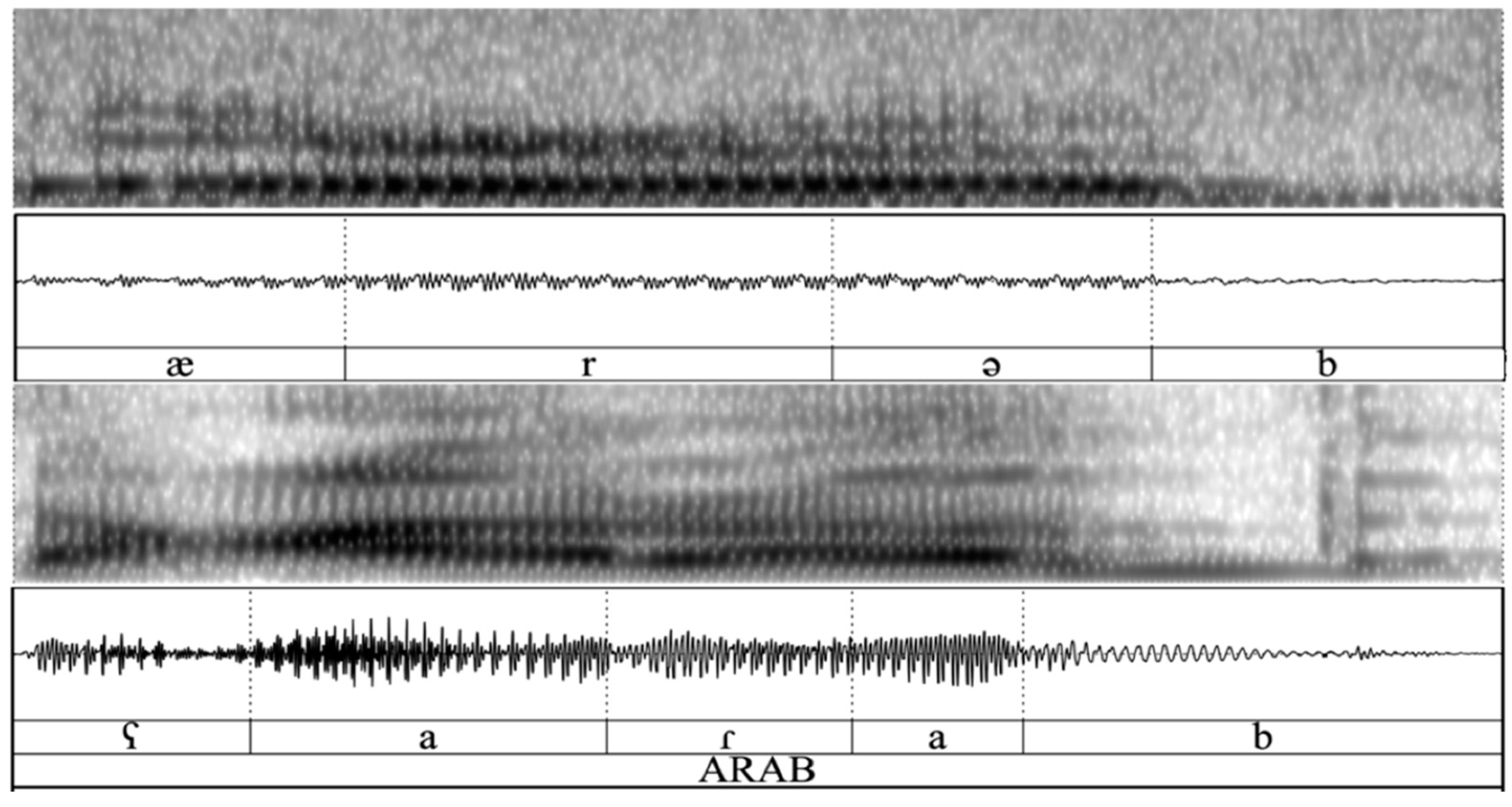 Languages 09 00004 g001