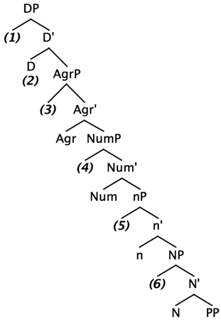 Languages 09 00015 i003