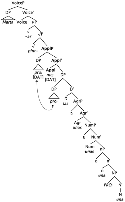 Languages 09 00015 i004